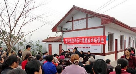 11月16日,记者在高县复兴镇娱乐村看到,该镇正在组织群众进行良种茶叶栽种技术培训,现场人头攒动,好不热闹。据了解,此次培训由复兴镇组织,邀请高县农业局茶技站、早白尖茶叶有限公司等技术人员为茶农们培训良种茶种植技术。