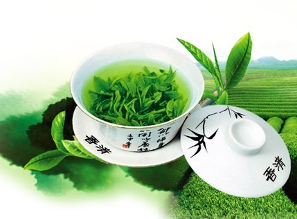 绿茶1.jpg