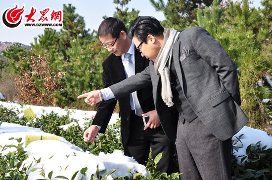 4、姜育发教授在高建华董事长的陪同下考察圣谷山茶园 4、姜育发教授在高建华董事长的陪同下考察圣谷山茶园