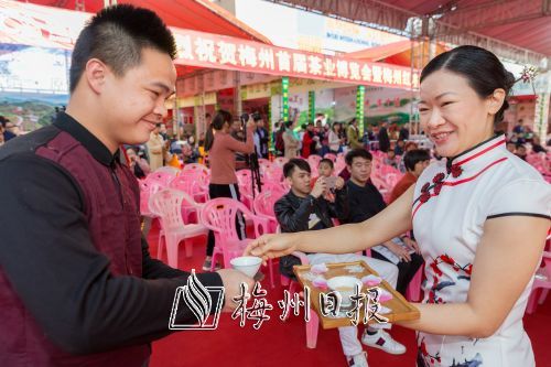 市民在“锦绣国际”梅州首届茶业博览会上品茗。(连志城 摄)